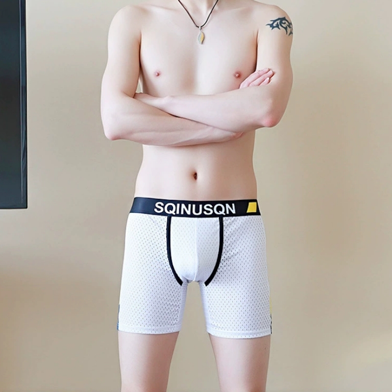 Erkek Buz İpek File Boxer Külo - Mesh Sport Boxer incelemesi ve fiyatı